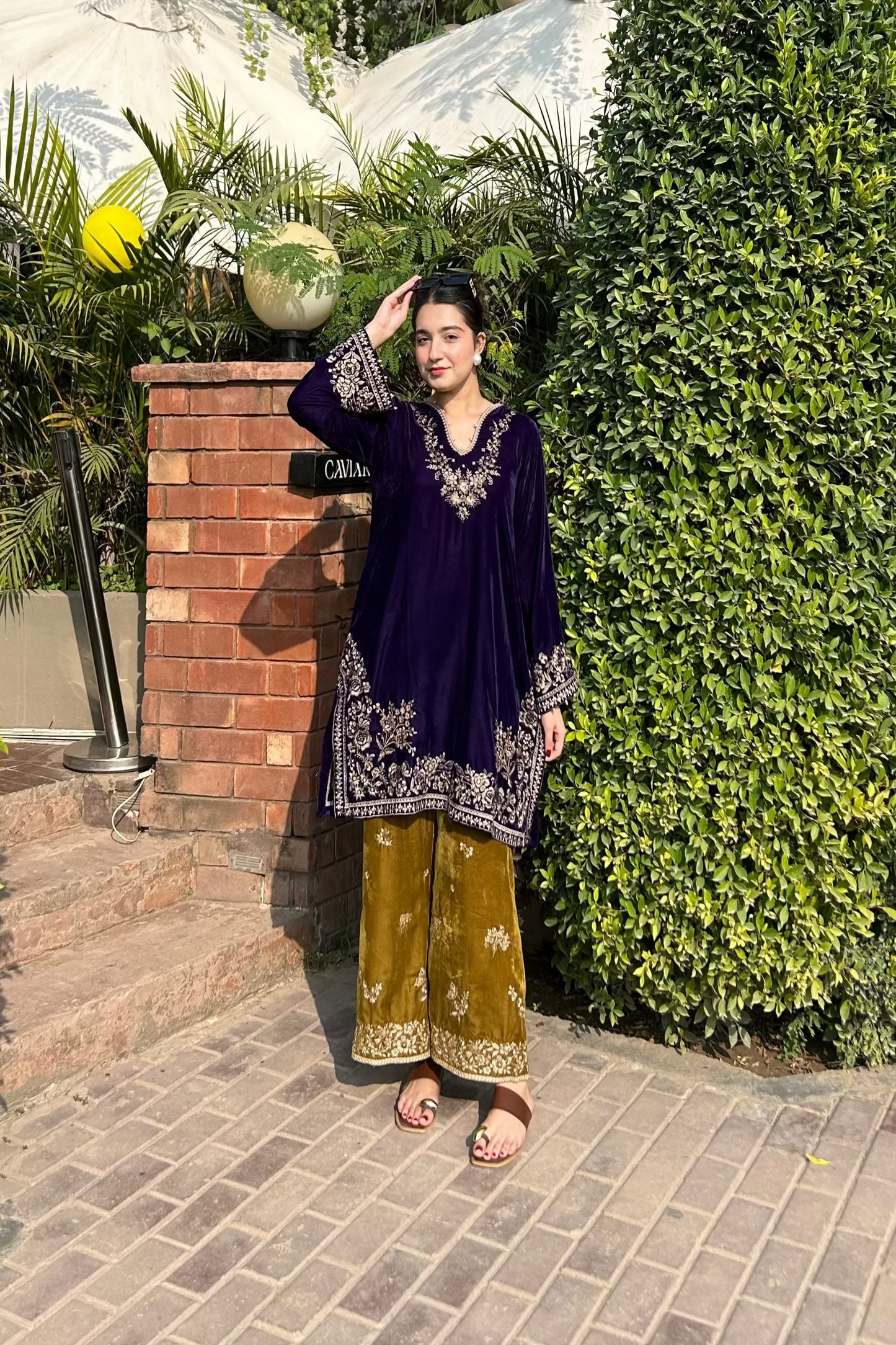 VELVET   PURPLE & DARK MUSTARD