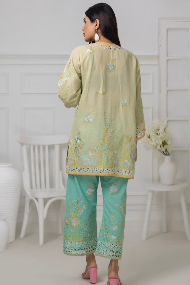 Light Green & Sky Blue Co-Ord Sets